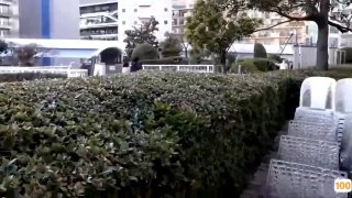 成人变态伦理免视频网站- 高清在线观看